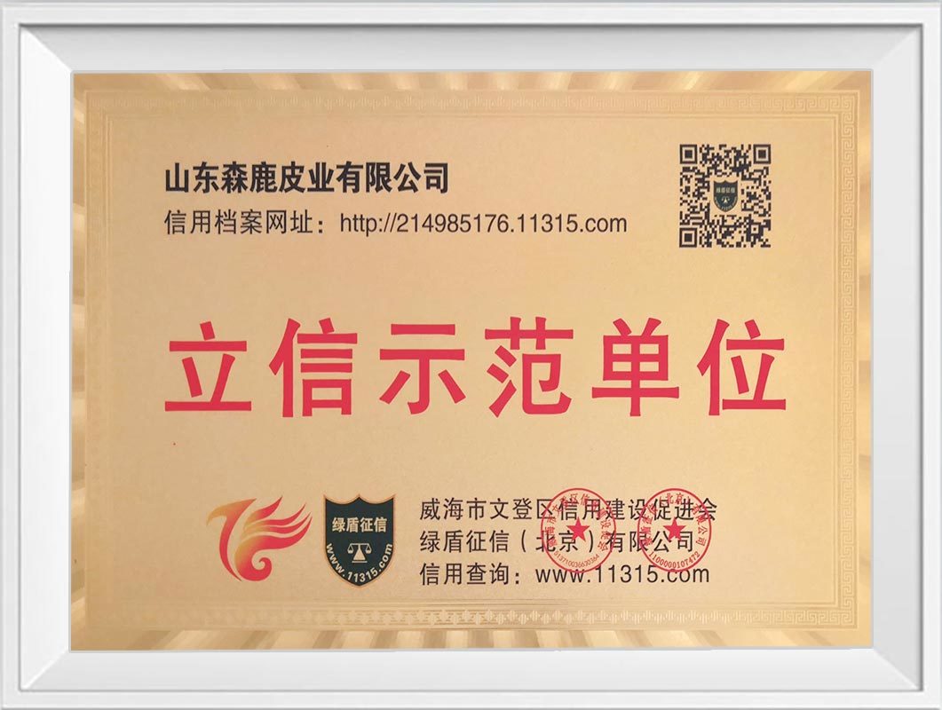 立信示范单位 立信示范单位
